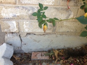 slab foundation concrete slab foundations in Texas