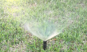 How often to water a foundation How often to water a foundation